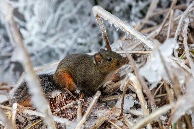 十月新游一览：《FIFA22》《孤岛惊魂6》等众多大作